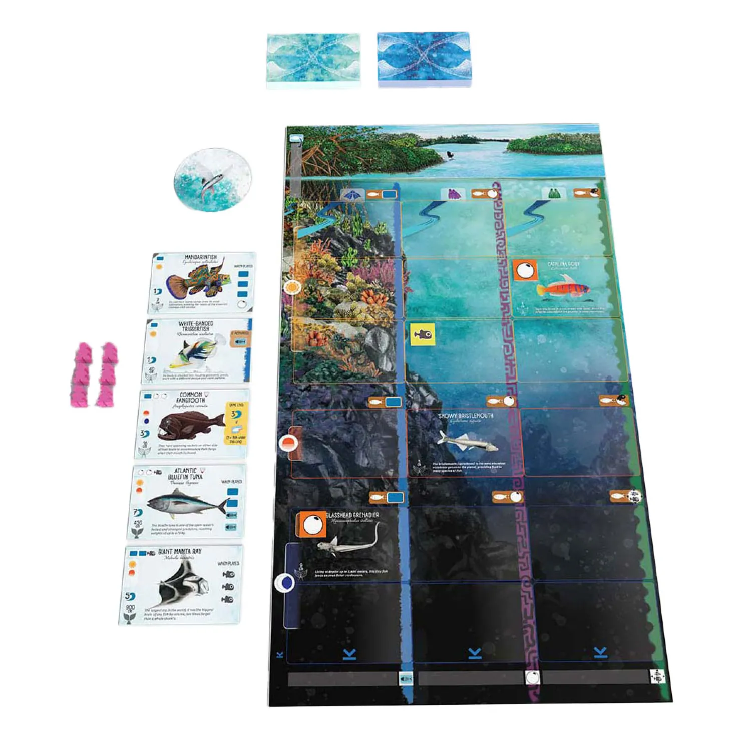 999 Games Finspan Bordspel New