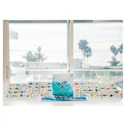 999 Games Finspan Bordspel New