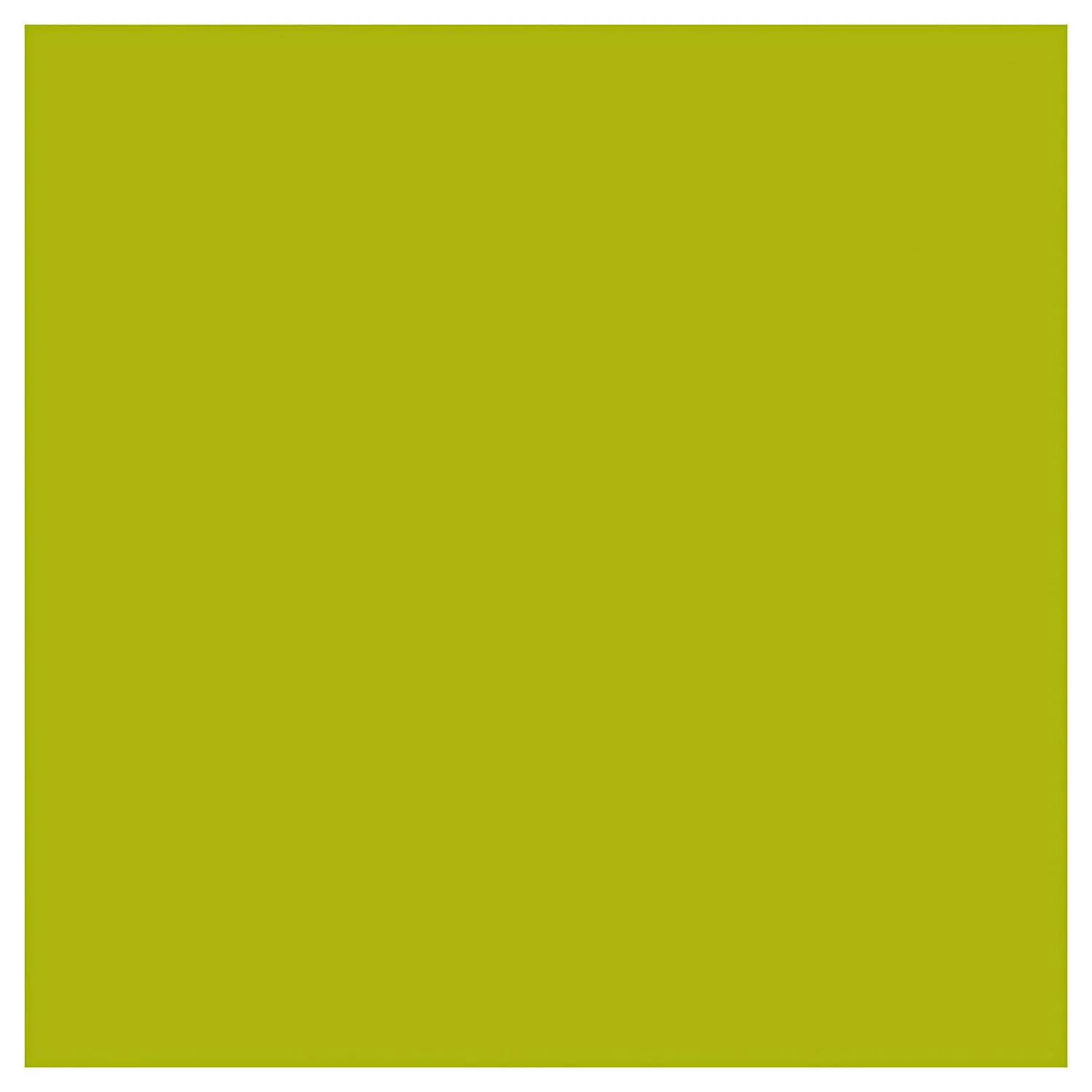 Acrylverf Glitter voor Kinderen - Lime Groen, 500ml>Creativ Company New