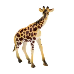 Toi-Toys Animal World Wilde Dieren Deluxe, 5st. Best