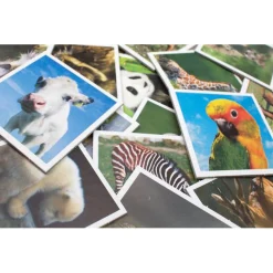 Tactic Babydieren Memo Best