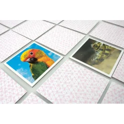 Tactic Babydieren Memo Best