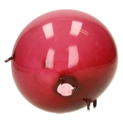 Duckiez Ballon Bal Dieren Hot