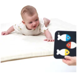 Banana Panda - Hoog Contrast Babykaarten 0m+ / 3m+ - 24st. Best