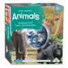 Identity Games BBC Earth Animals Interactief Familiebordspel Online