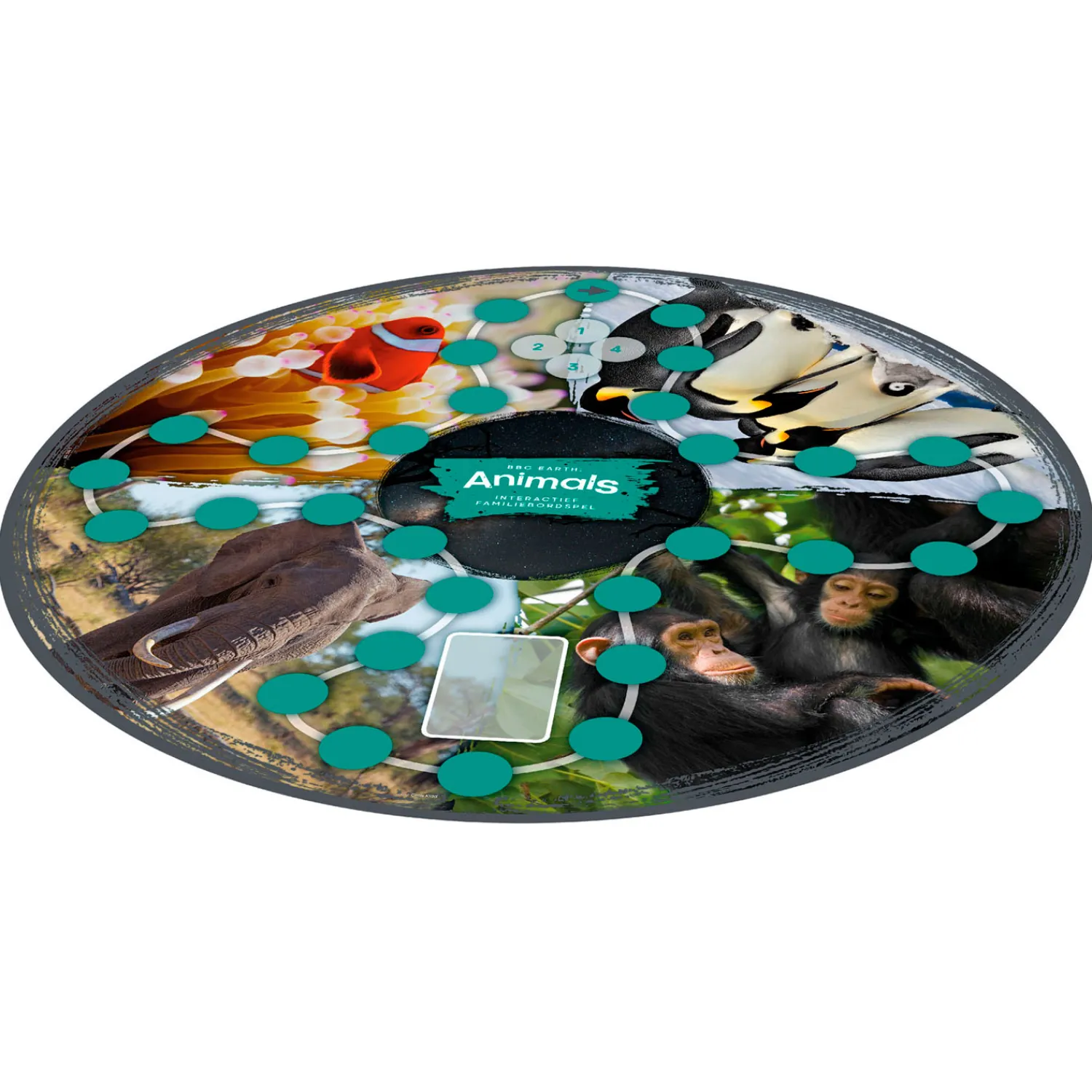 Identity Games BBC Earth Animals Interactief Familiebordspel Online