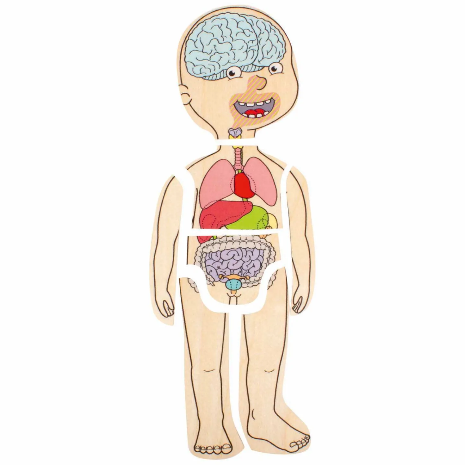 Houten Lagenpuzzel Meisje - 5 Lagen-Beleduc Discount