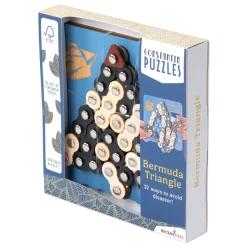 Bermida Triangle Breinpuzzel-Recent Toys Best