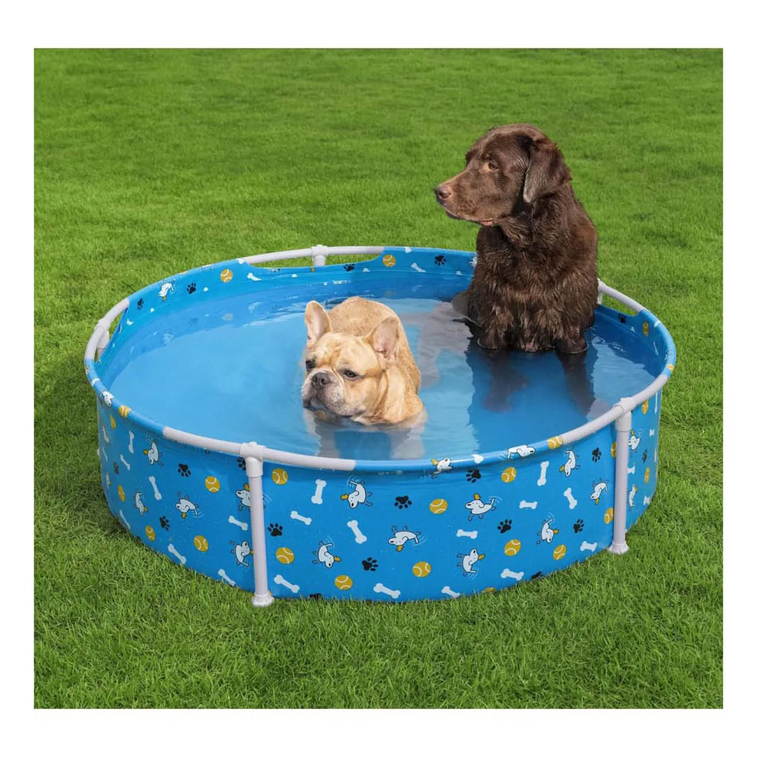 Zwembad Huisdier Fetchin' Fun, 122cm-Bestway Hot