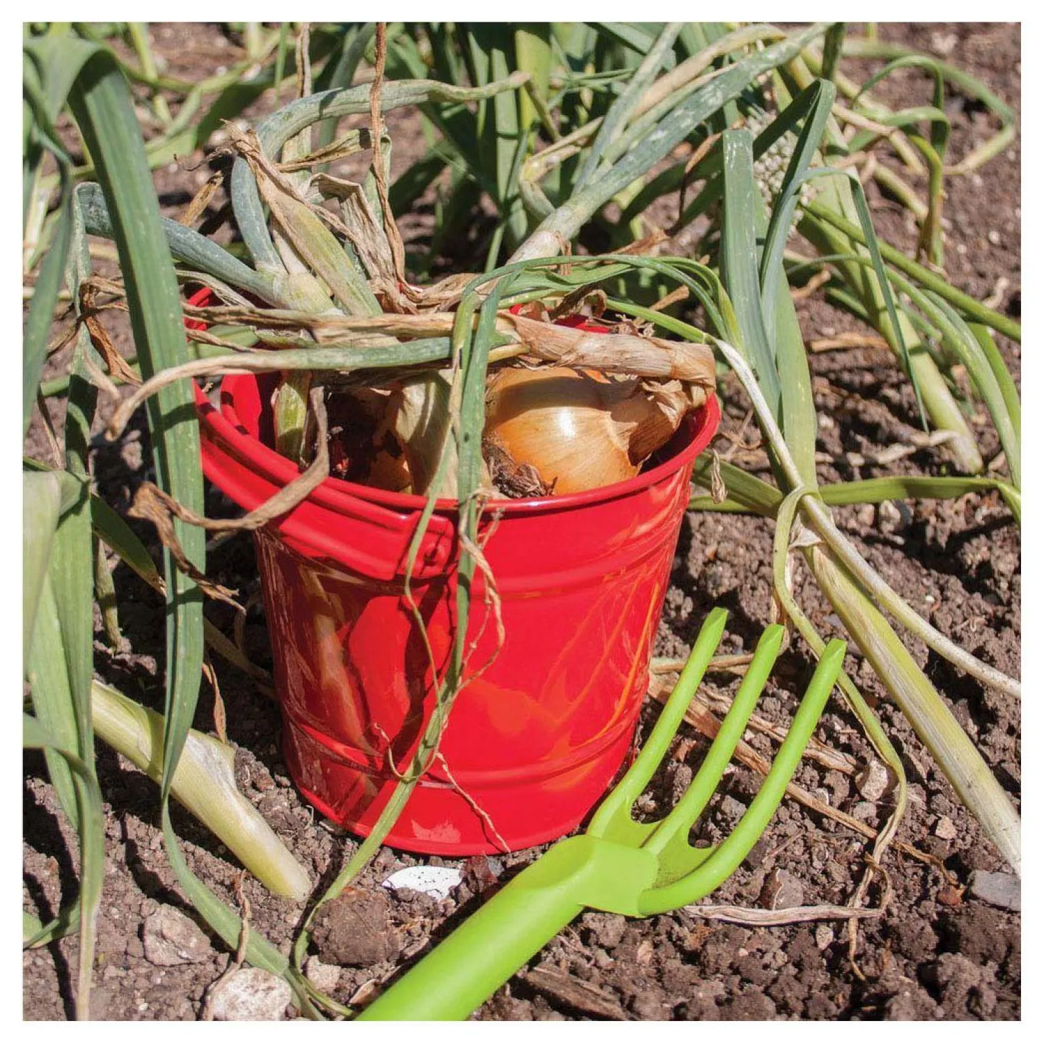 Rode Metalen Emmer>Bigjigs Hot