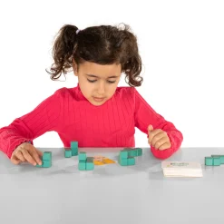 Breinpuzzel 3D Bouw Modellen- Hot