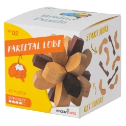 Recent Toys Breinpuzzel NO2: Parietale Kwab - Breinbreker Hot