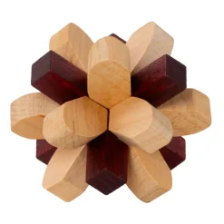 Recent Toys Breinpuzzel NO2: Parietale Kwab - Breinbreker Hot