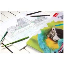 Bruynzeel Parrot 45 Kleurpotloden Outlet