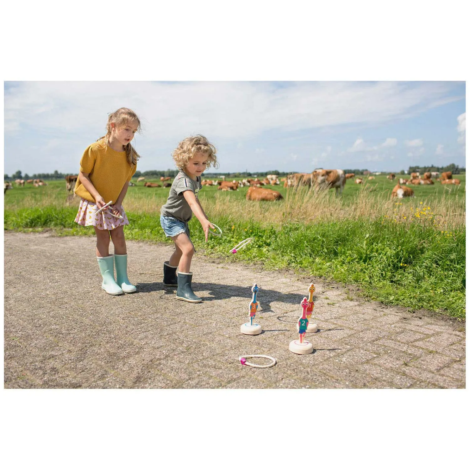 Ringwerpen Vogels Hout - Werpspel>BS Toys New