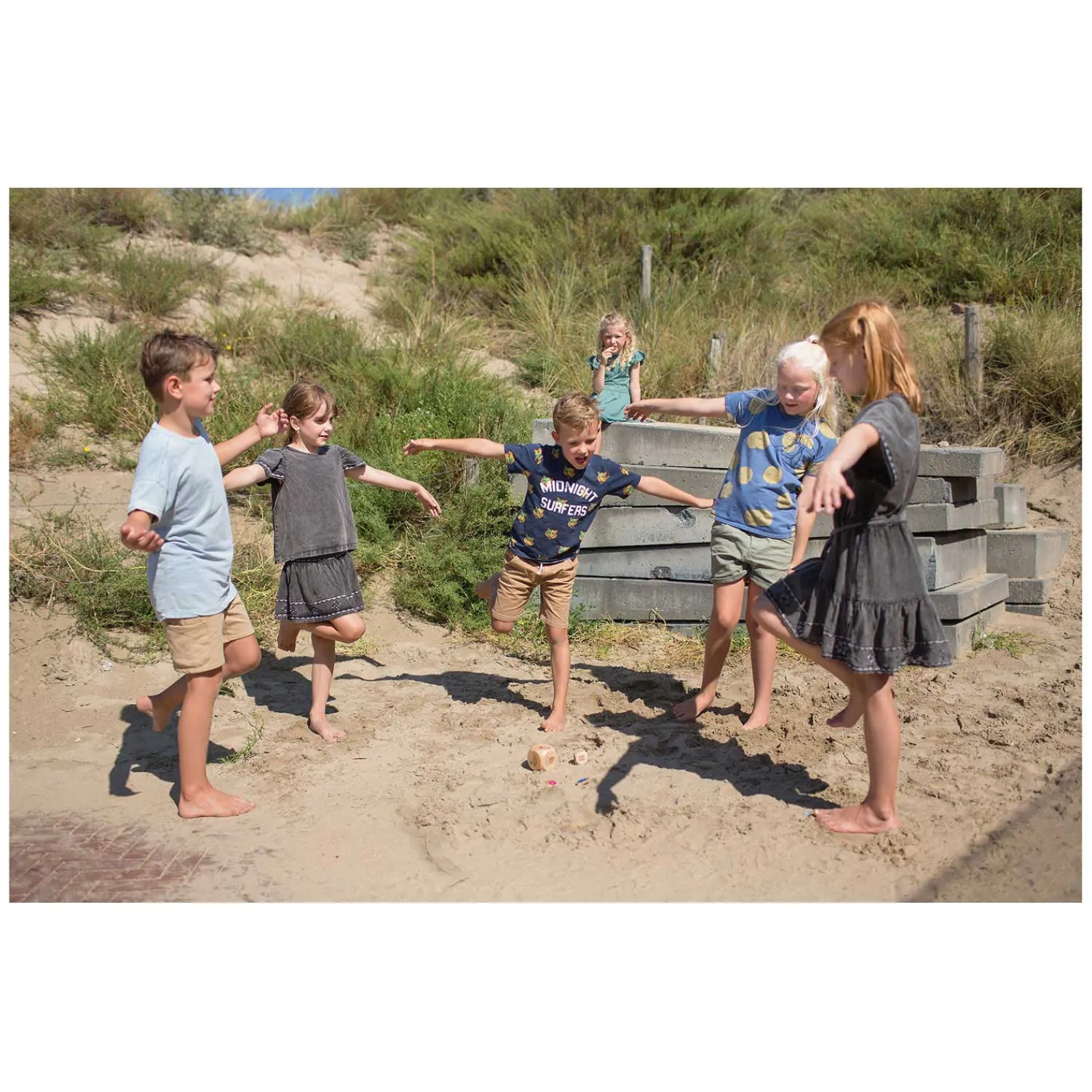 Vogels in Actie Hout - Kinderspel-BS Toys Best