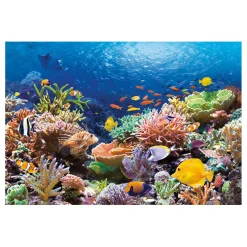 Selecta Castorland Legpuzzel Coral Reef Fishes, 1000st. Online