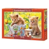 Castorland Legpuzzel Tea Time, 500st.-Selecta Online