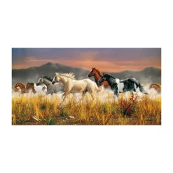 Legpuzzel Band of Thunder, 13200st.>Clementoni Best