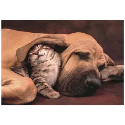 Clementoni Legpuzzel Hond en Kat, 500st. Clearance