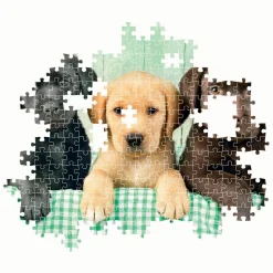 Legpuzzel Three Labs, 1000st.><noscript><img width=