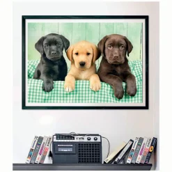 Legpuzzel Three Labs, 1000st.><noscript><img width=