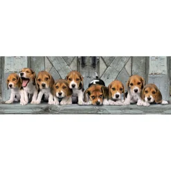 Clementoni Panorama Puzzel Beagles, 1000st. New