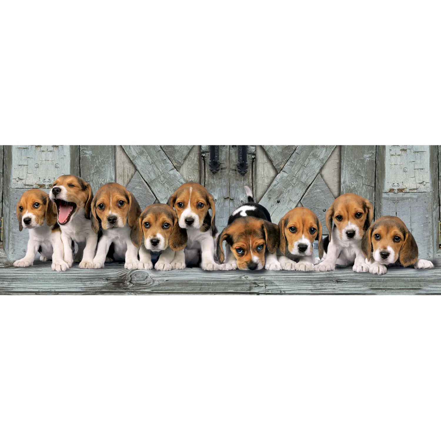 Clementoni Panorama Puzzel Beagles, 1000st. New