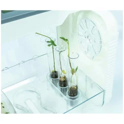 Clementoni Wetenschap en Spel - Mijn Hi-tech Kweekkas Experimenset Clearance