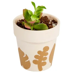 - Botanisch Knutselstickers, 400st.-Colorations Outlet