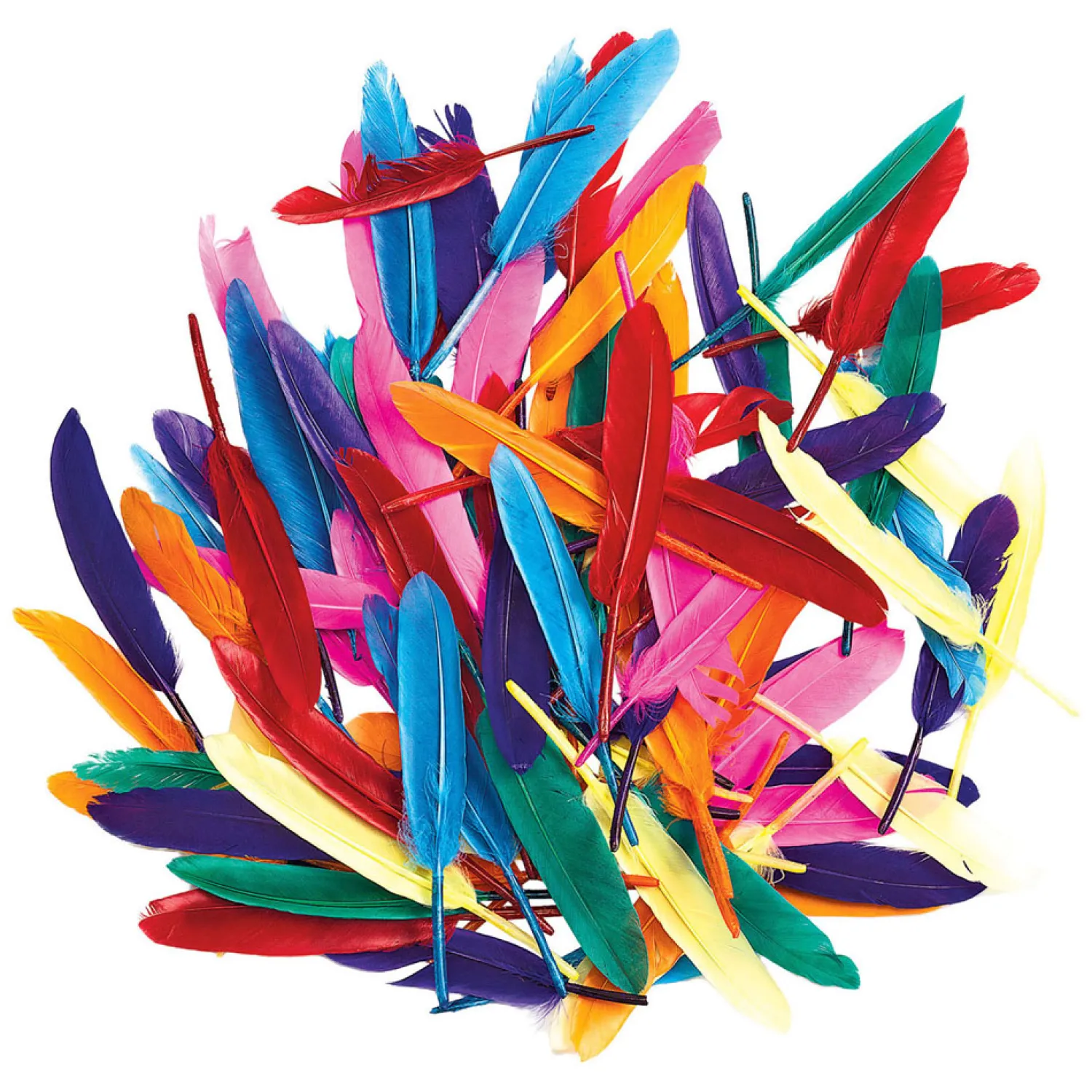 - Gekleurde Eendenveren, 28,5 gram>Colorations New