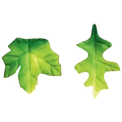 Colorations - Groene Blaadjes, 200st. Online