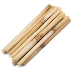 - Korte Bamboestokkken 10-12cm, 10st.>Colorations Best