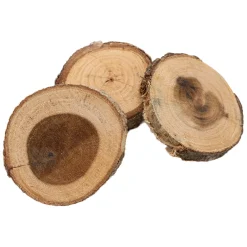 Colorations - Onbewerkte Houten Schijfjes 8-10cm, 12st. Discount