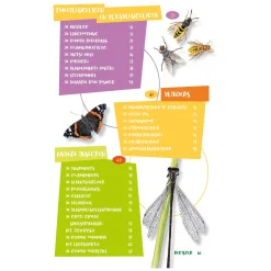 De leukste insectengids voor kids><noscript><img width=