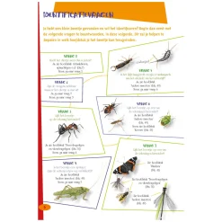 De leukste insectengids voor kids><noscript><img width=
