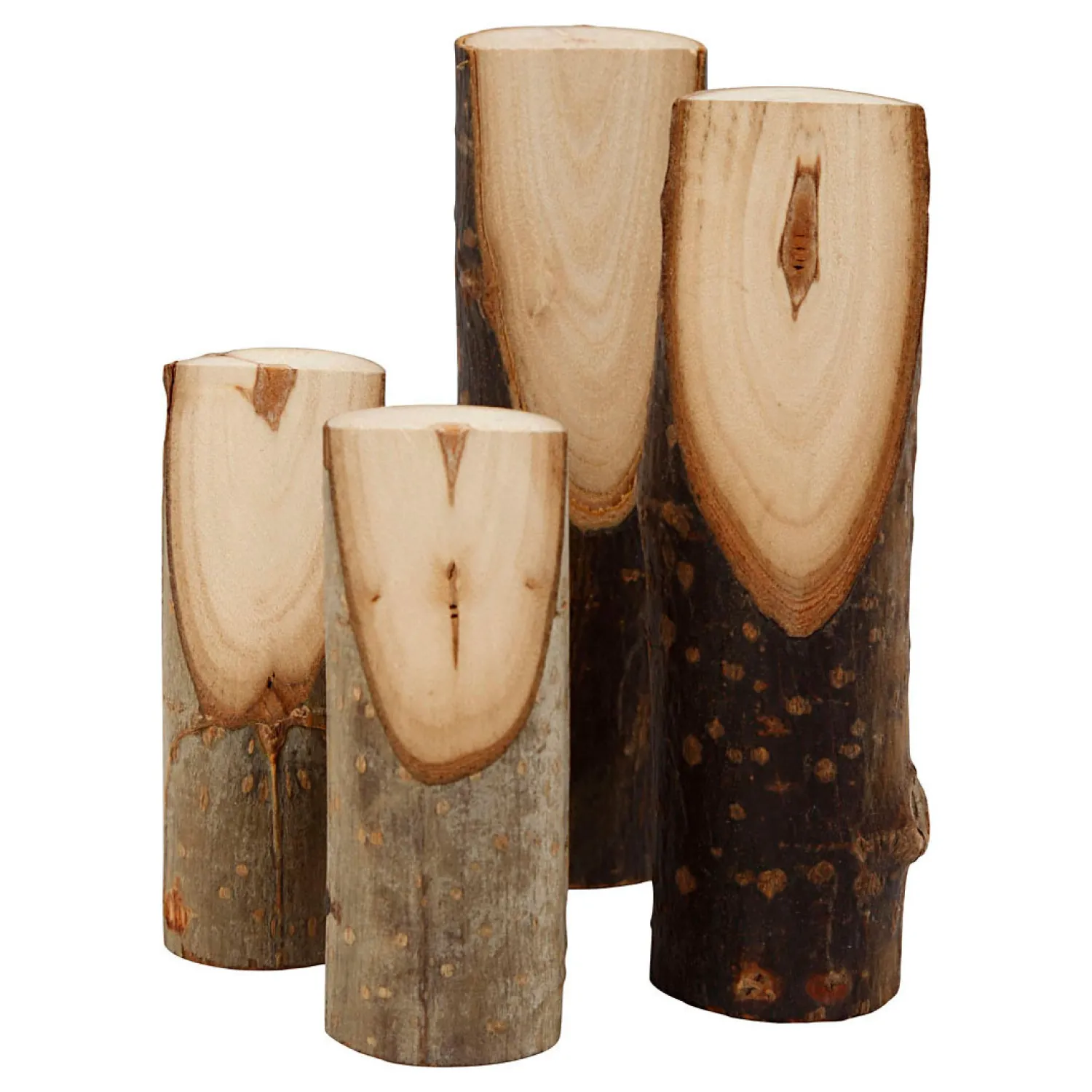Creativ Company Decoratieve Boomstam Divers, 4st.