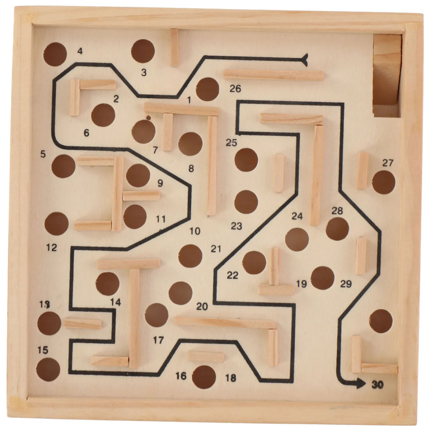 Denkspellen 5in1, 81dlg. Discount