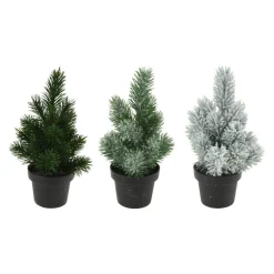 Denneboom in Pot, 33cm> New