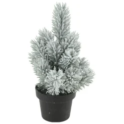 Denneboom in Pot, 33cm> New