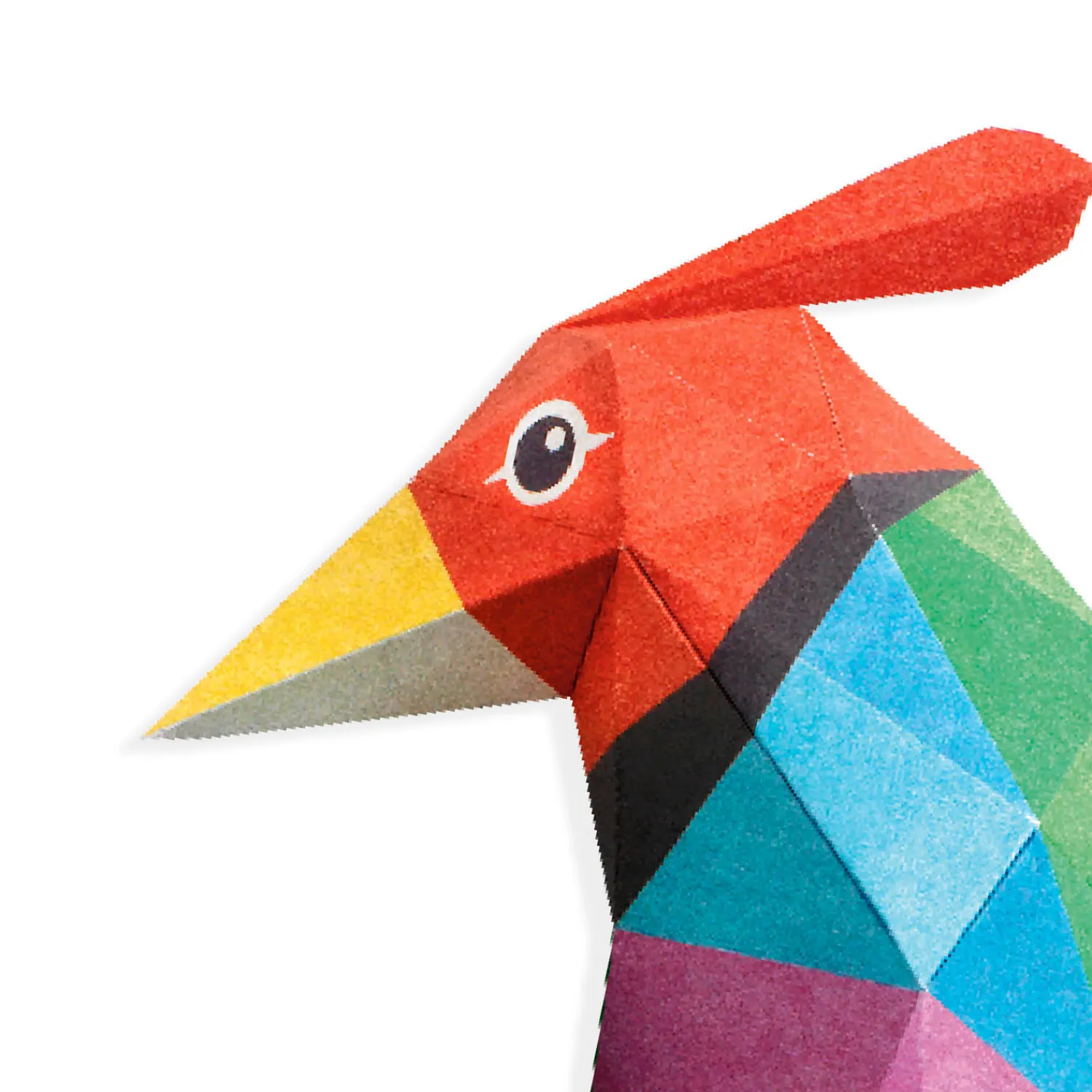 3D Poster Maken - Vogel>Djeco Discount