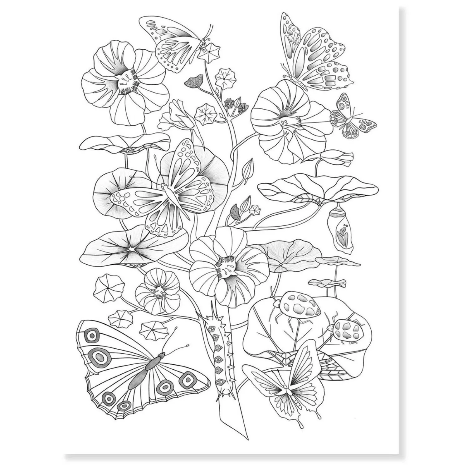 Kleurplaten Natuur>Djeco Sale