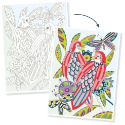 Kleurplaten Vogels-Djeco Hot