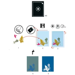 Knutselen Cyanotypepapier Navulet - Bladeren>Djeco