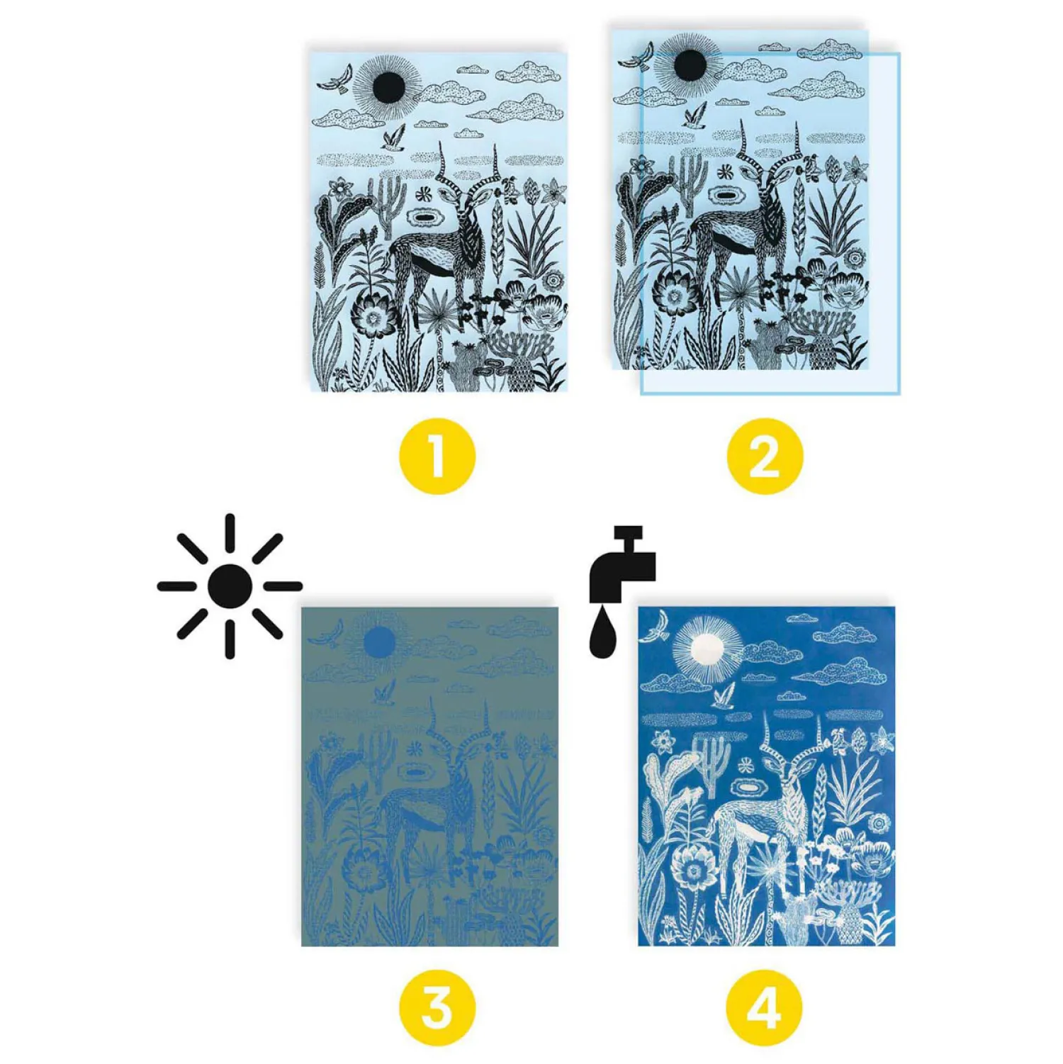 Djeco Knutselen Cyanotype - Nachtelijke Savanne New