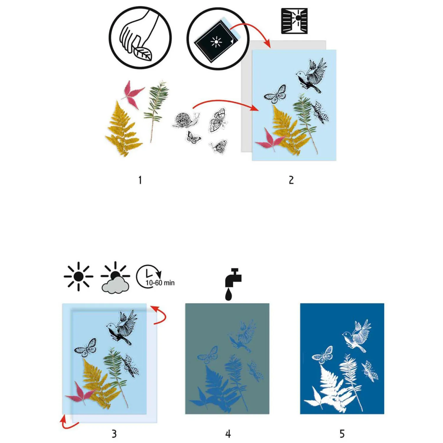 Djeco Knutselen Startpakket Cyanotype - Bladeren Discount