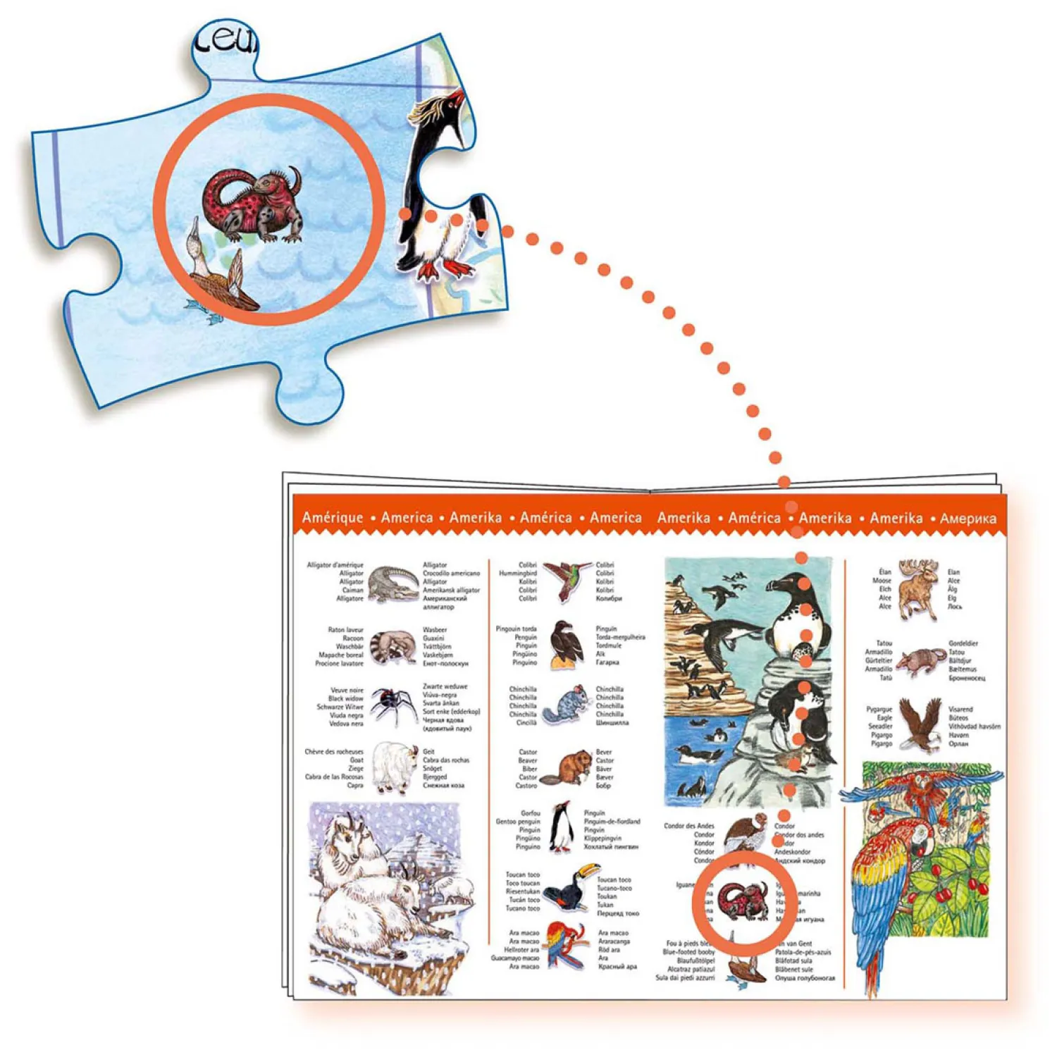 Legpuzzel Dieren van de Wereld - 100st.>Djeco