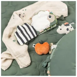 Done by Deer Zintuiglijk Babyboek Kleine Boerderij