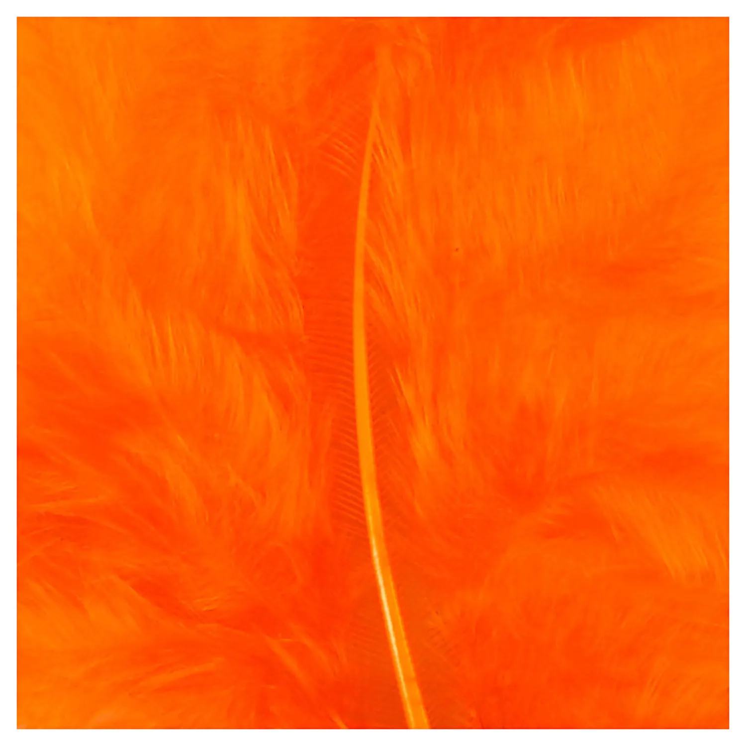 Dons Oranje 5-12 cm, 15st.-Creativ Company New