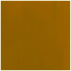 Bruynzeel Ecola Plakkaatverf Fles 16ml Gele Oker 227 Hot